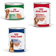 Royal Canin Ageing Dog