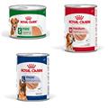 Royal Canin Ageing Dog