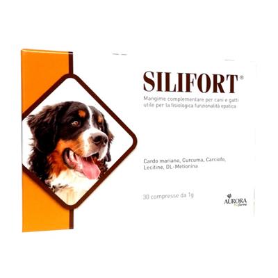 Silifort Cane 30 cpr 1 g