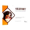 Silifort Cane 30 cpr 1 g