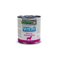 Farmina Vet Life Dog Struvite Management 300 g