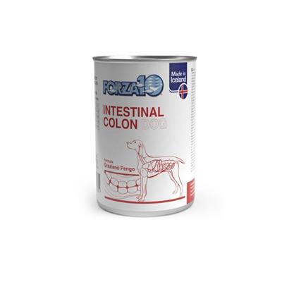 Forza10 Intestinal Colon Dog 390 g