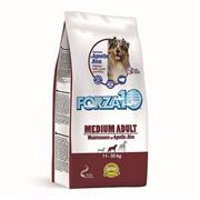 Forza10 Maintenance Medium Adult con Agnello e Riso 12,5 kg