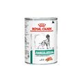 Royal Canin Veterinary Diet Dog Patè Diabetic Special 410 g