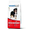 Vincent Life Dog Active Pollo e Riso 15 kg