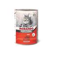 Morando Professonal Patè Cat Adult Salmone 400 g