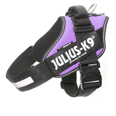 Julius K9 2XS 33-45 cm 2-5 kg Viola