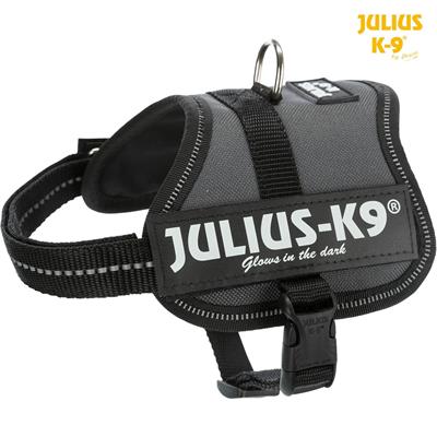 Julius K9 S-Mini 49-67cm 7-15 kg Grigio