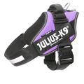 Julius K9 M-Size 0 58-76cm 14-25 kg Viola