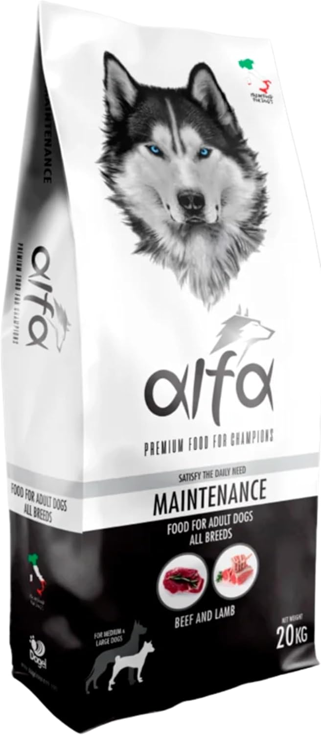 alfa-maintenance