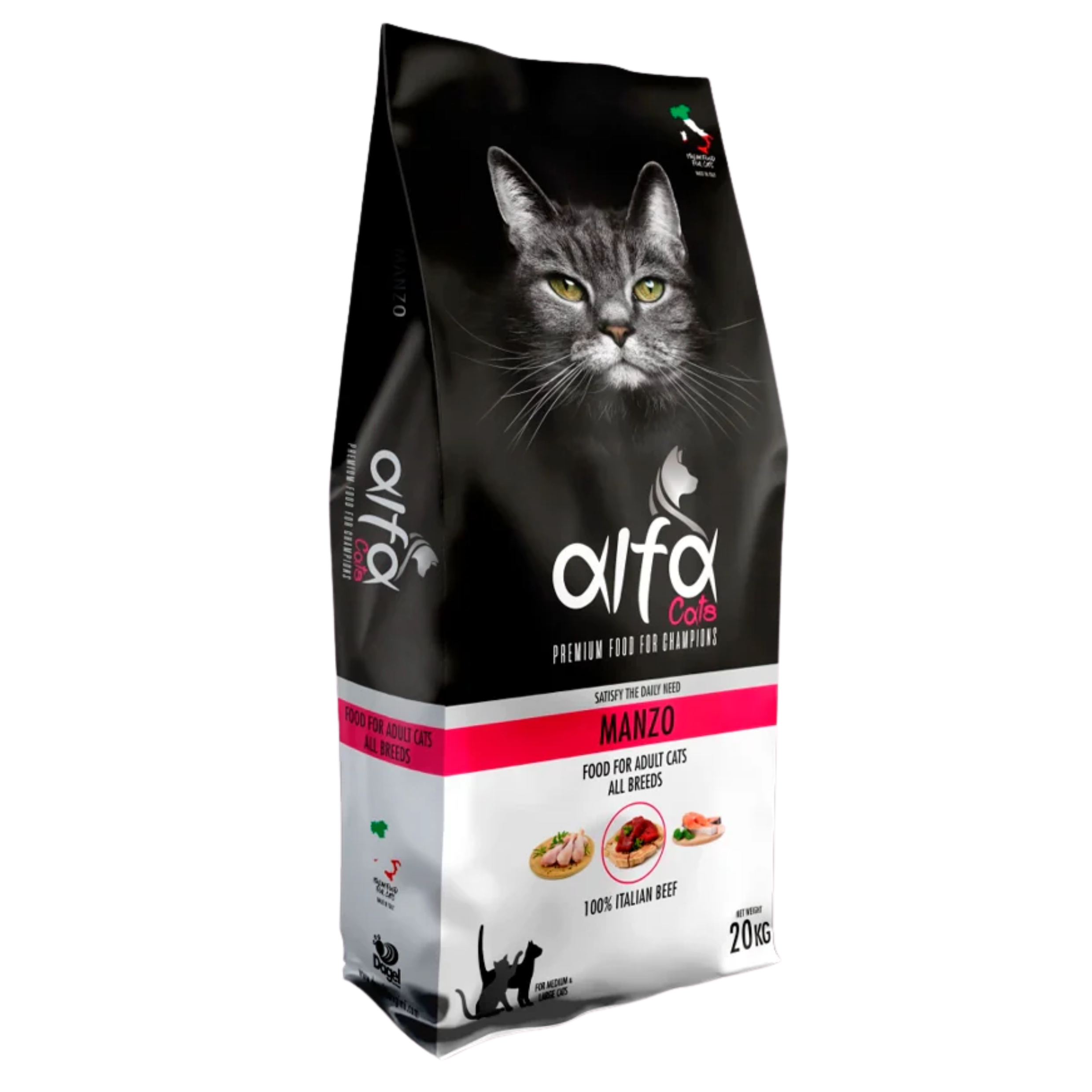 alfa-gatto-manzo