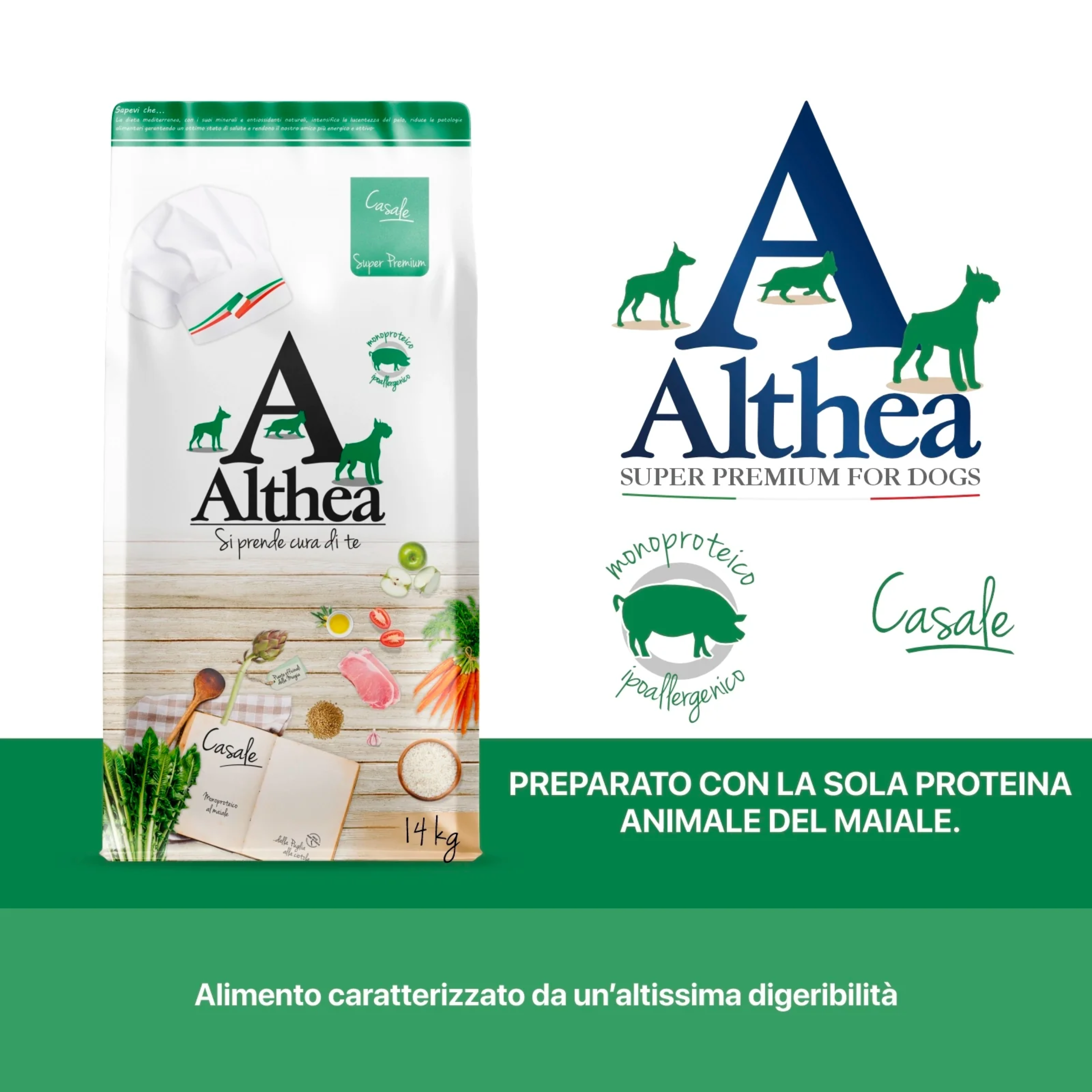 althea-casale