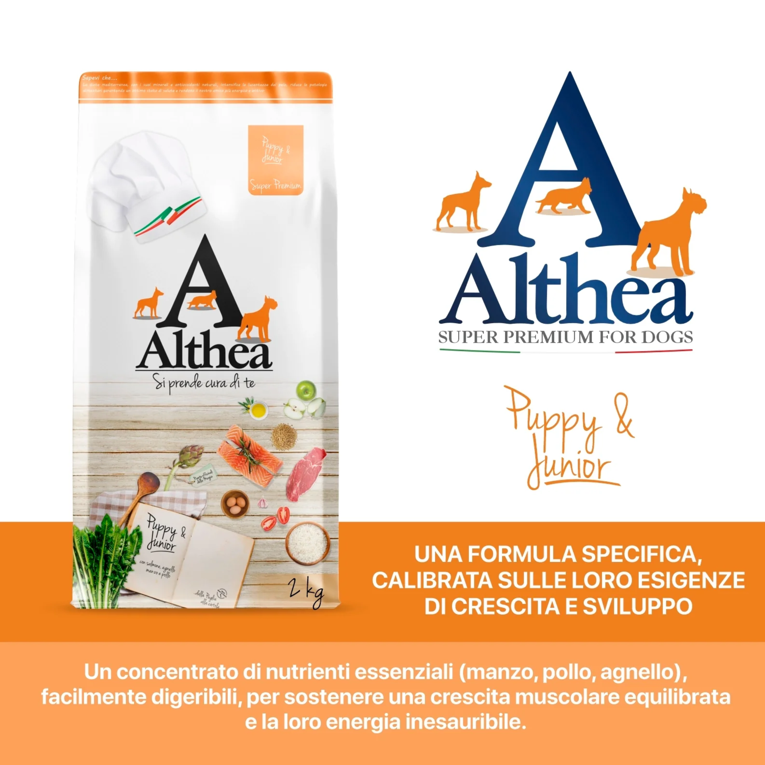 althea-puppy-juniors