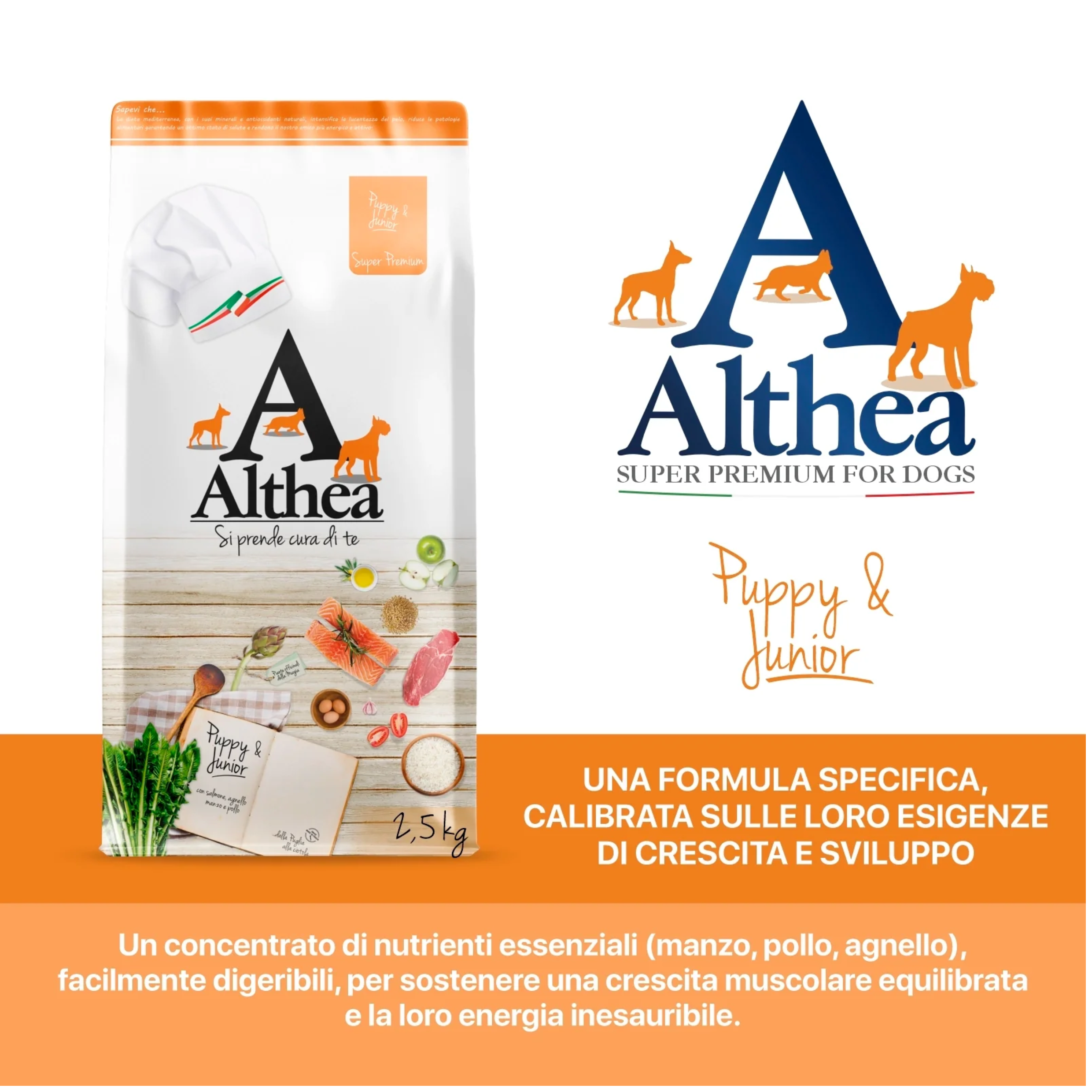 althea-puppy-juniors