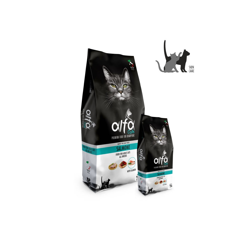 alfa-gatto-salmone