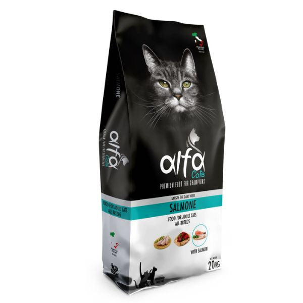 alfa-gatto-salmone