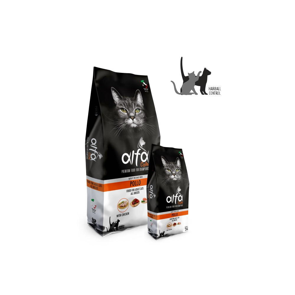 alfa-gatto-pollo