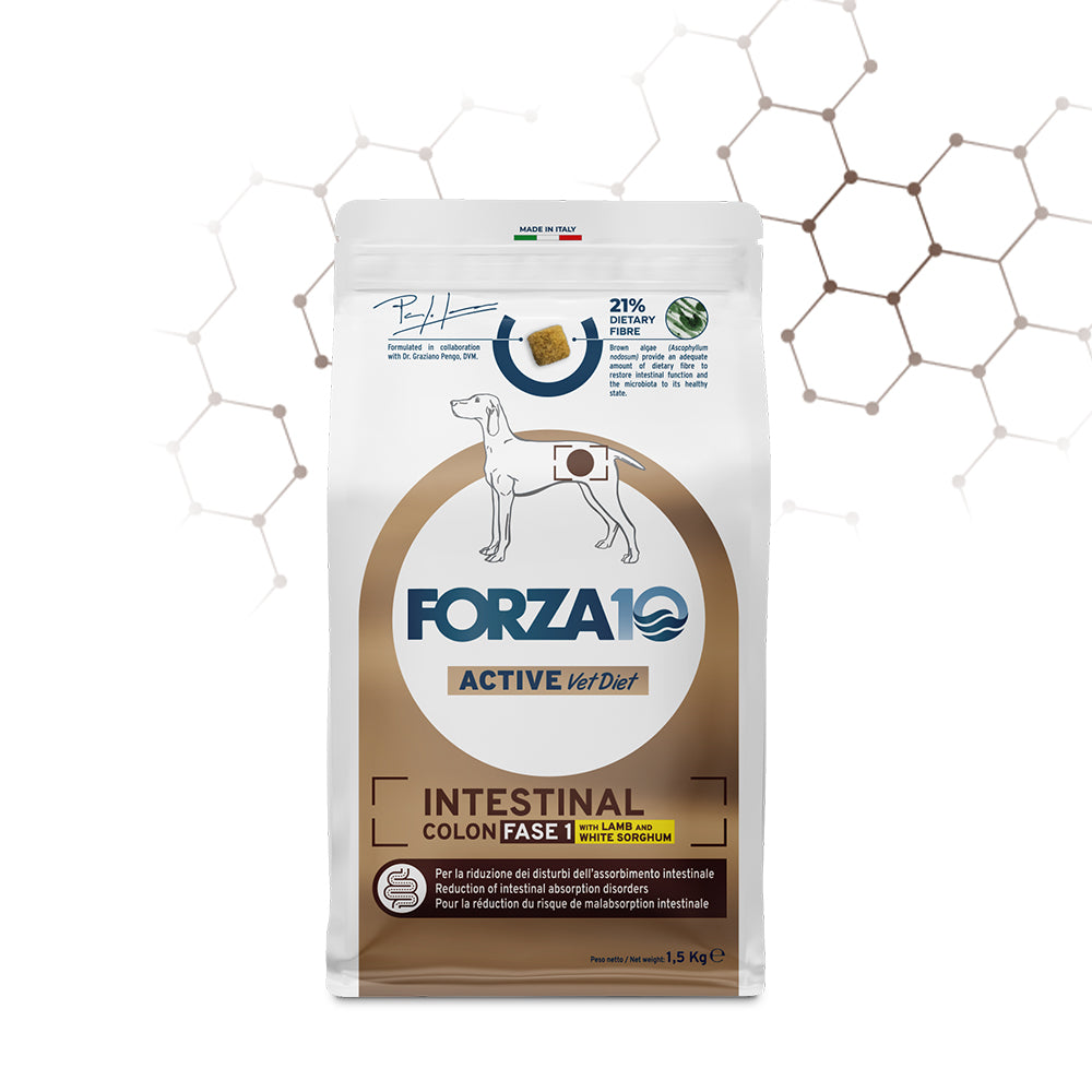 forza-10-active-diet-line-intestinal-colon-fase-1-agnello-1-5-kg
