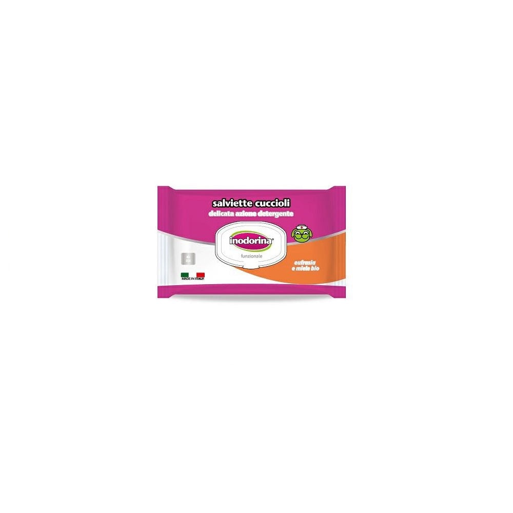 salviette-inodorina-40-pz