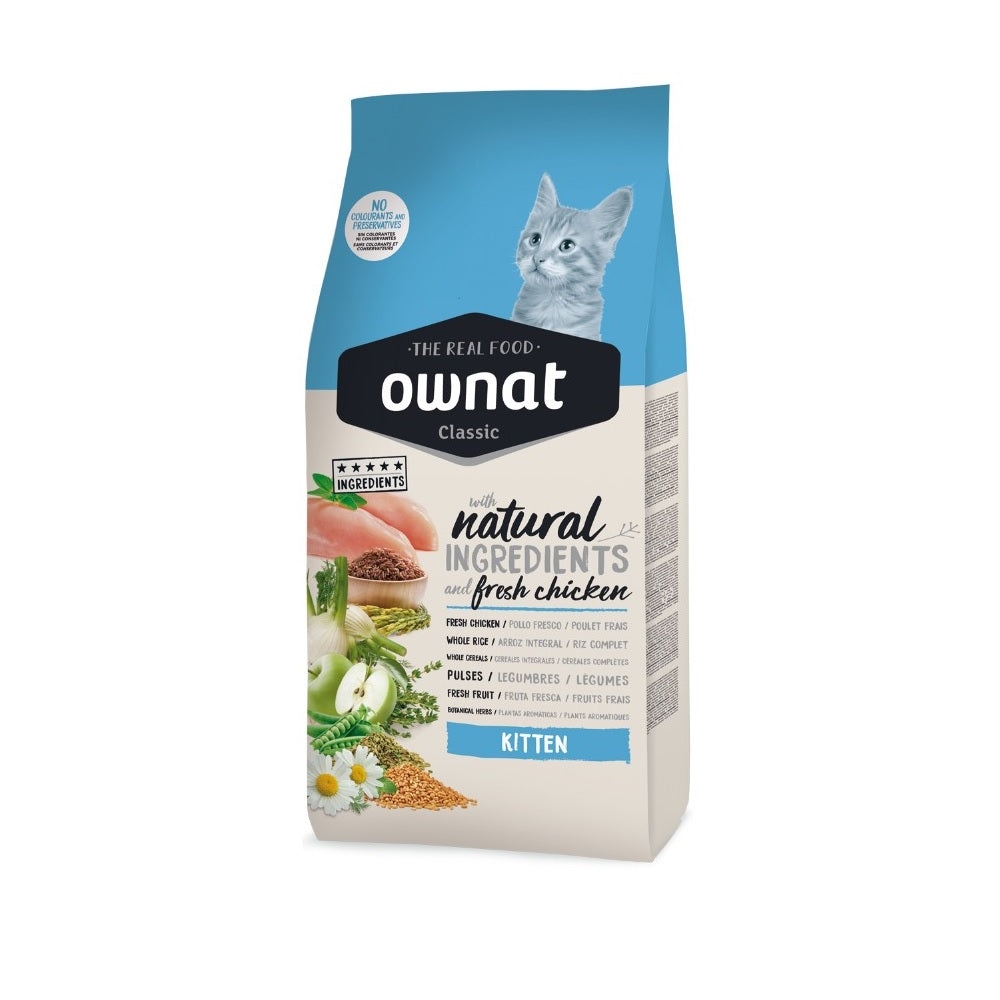 ownat-classic-cat-kitten