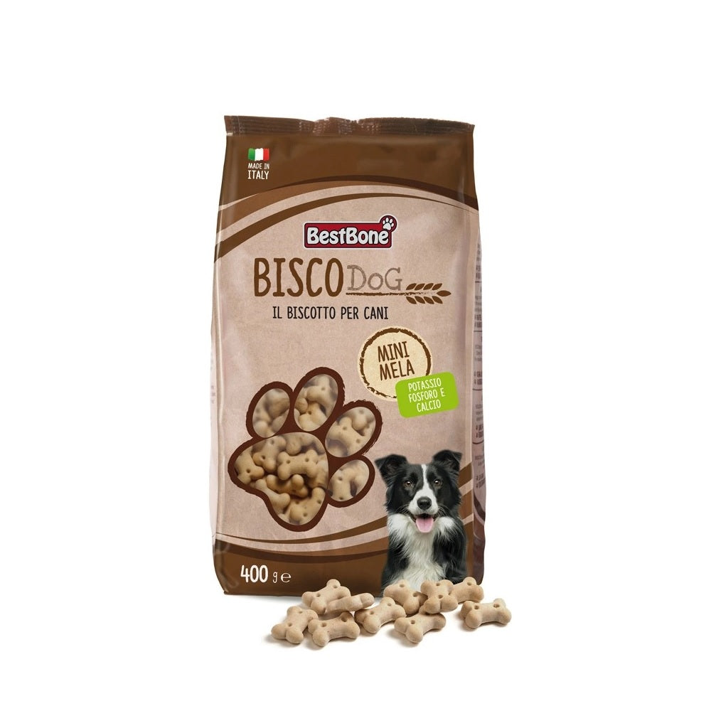 record-biscodog