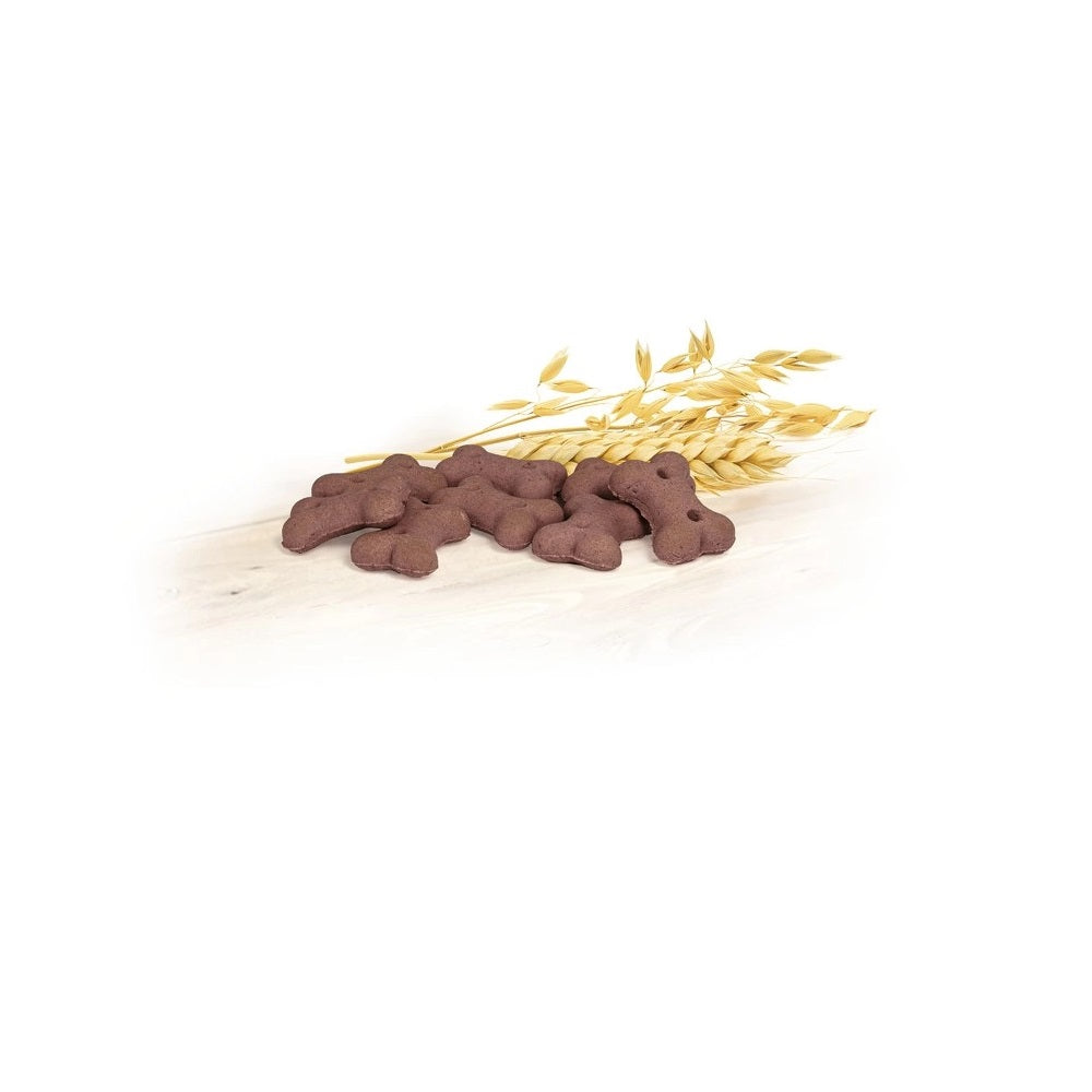 record-biscodog