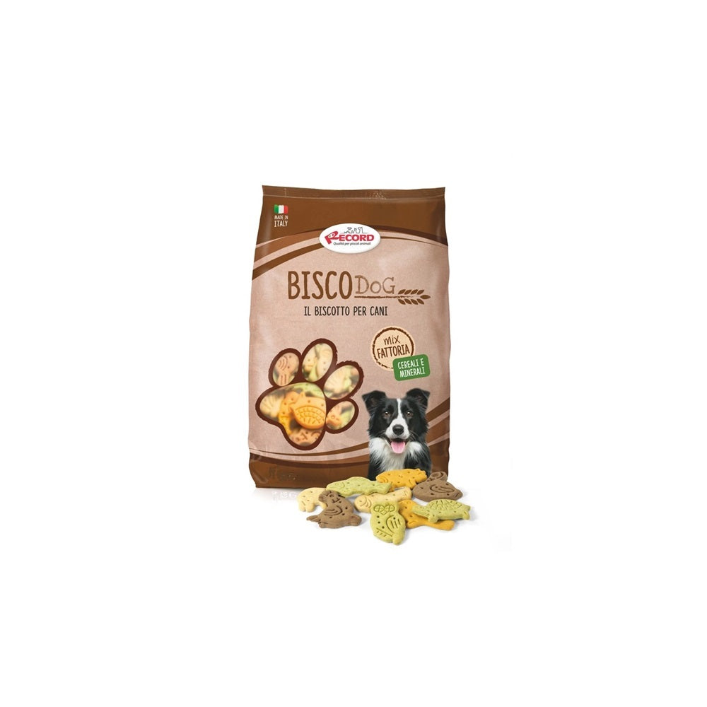 record-biscodog