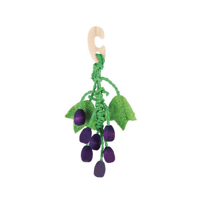 Pet's Garden srl
