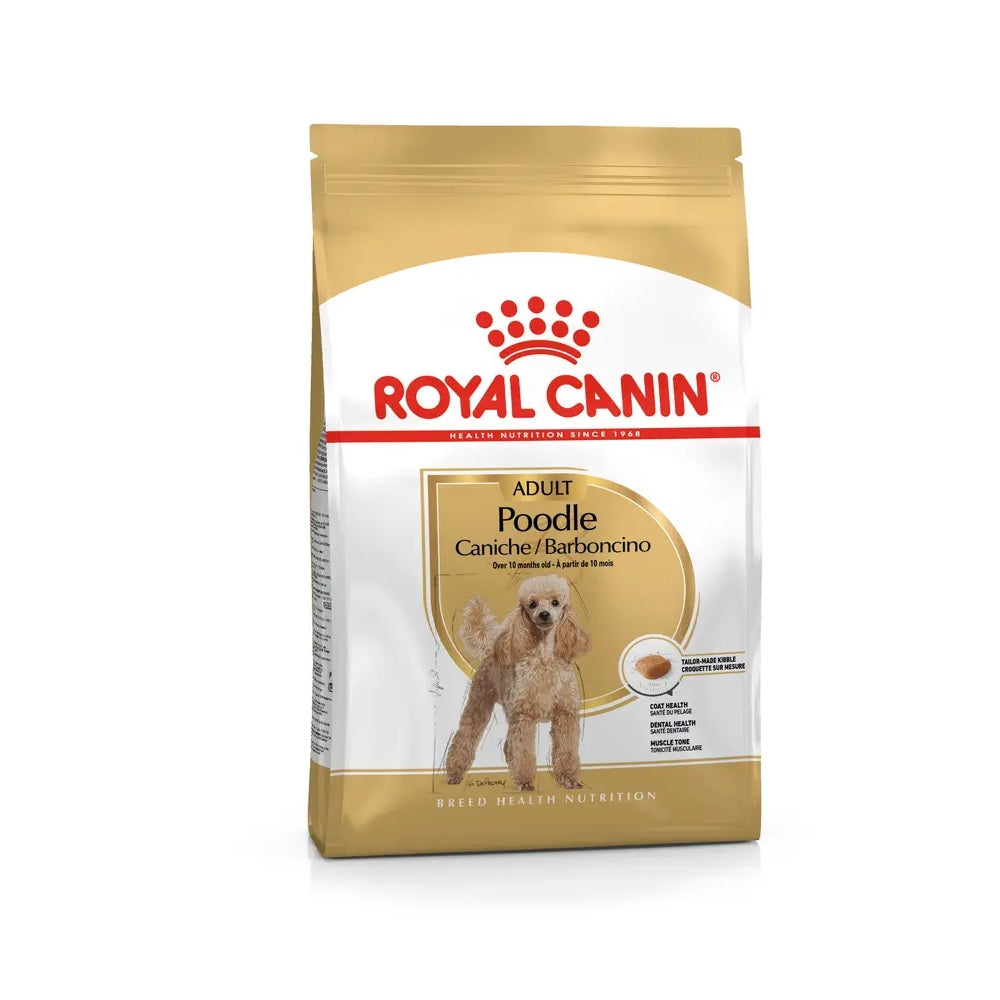 royal-canin-dog-poodle-barbo-ncino-adult