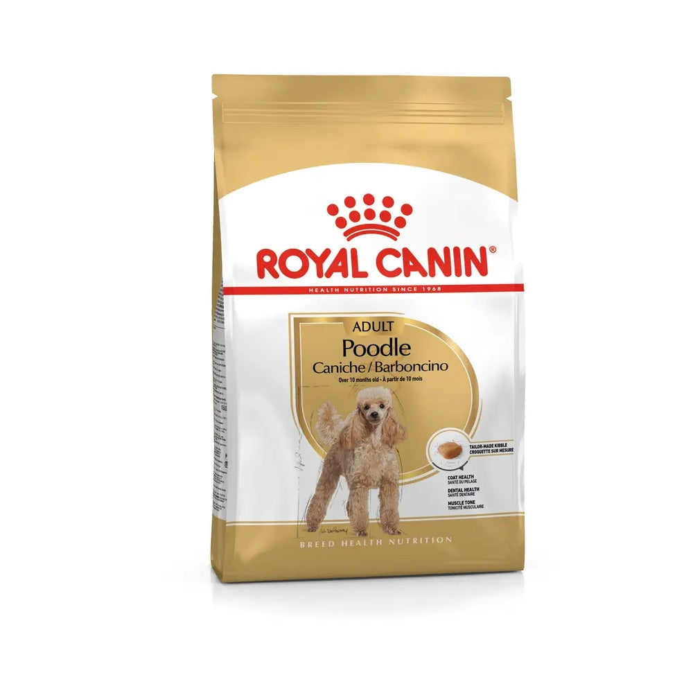 royal-canin-dog-poodle-barbo-ncino-adult