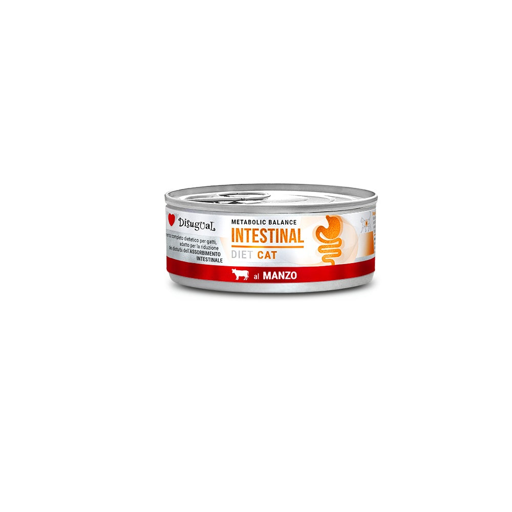 disugual-diet-cat-intestinal-85-g