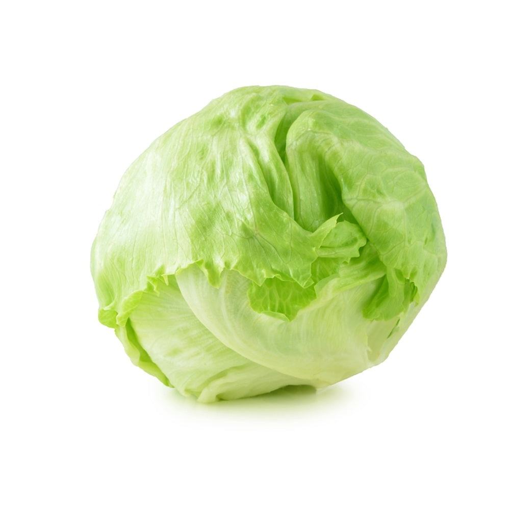 lattuga-iceberg-12-piante