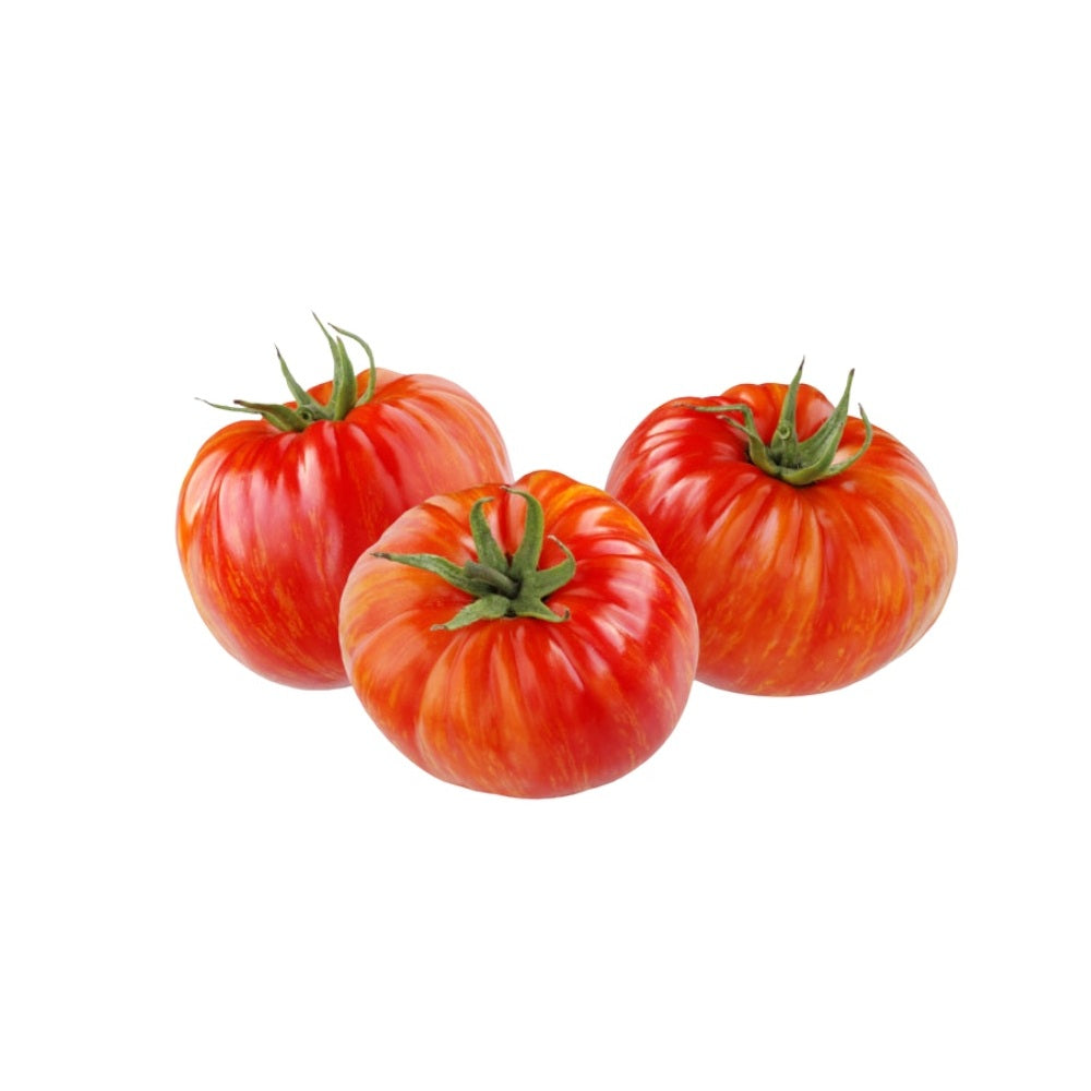 pomodoro-belmonte-12-piantine