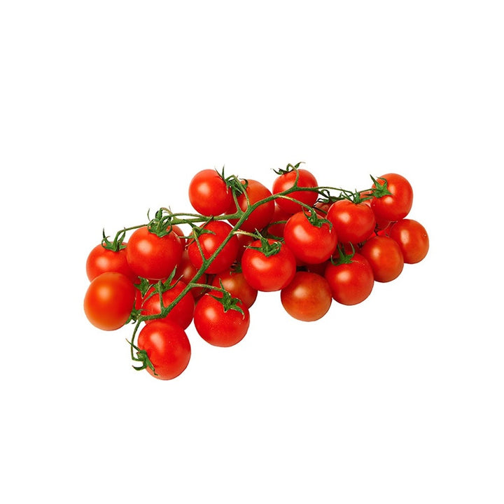 Pomodoro Ciliegino 20 Pianti ne