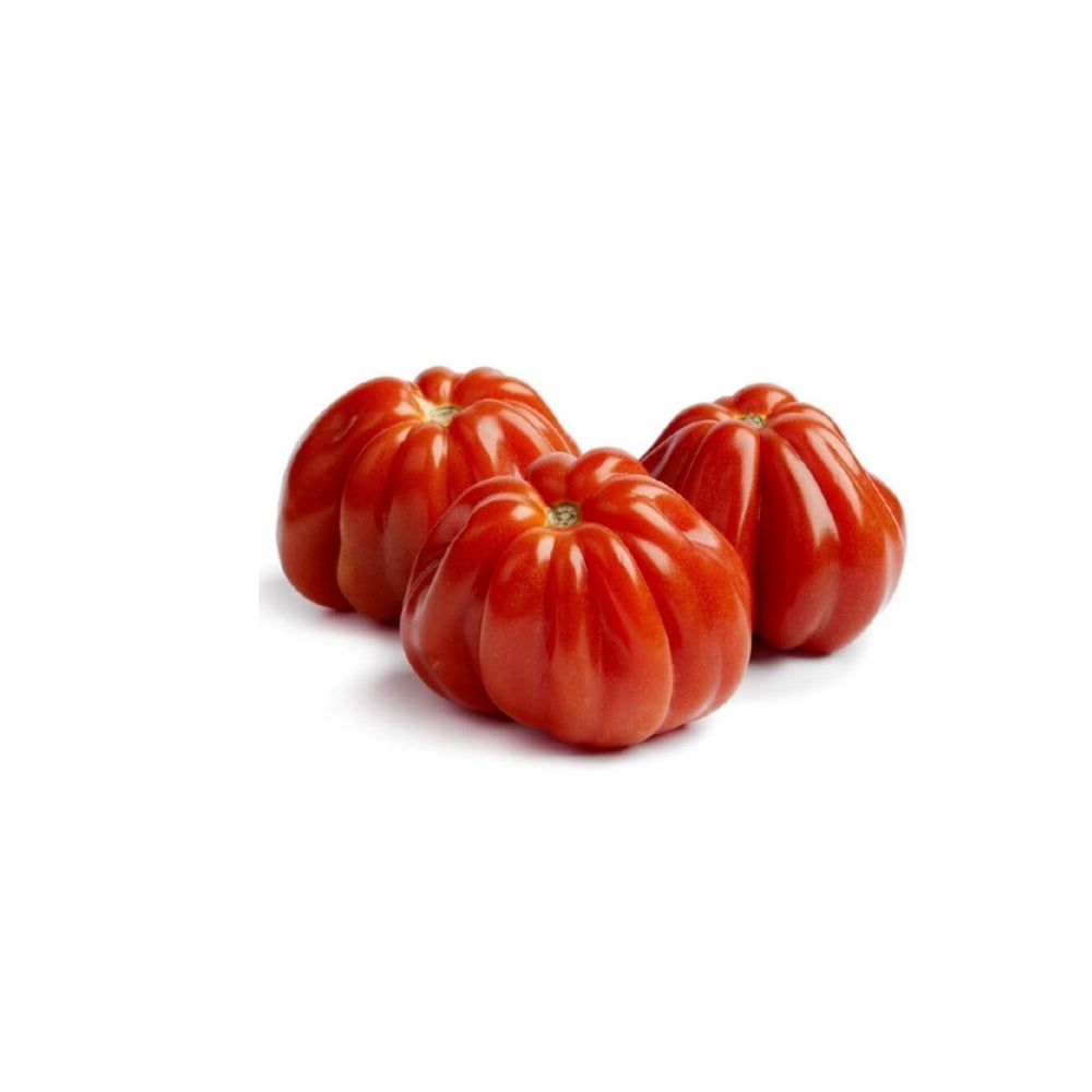 pomodoro-cuore-di-bue-12-piantine