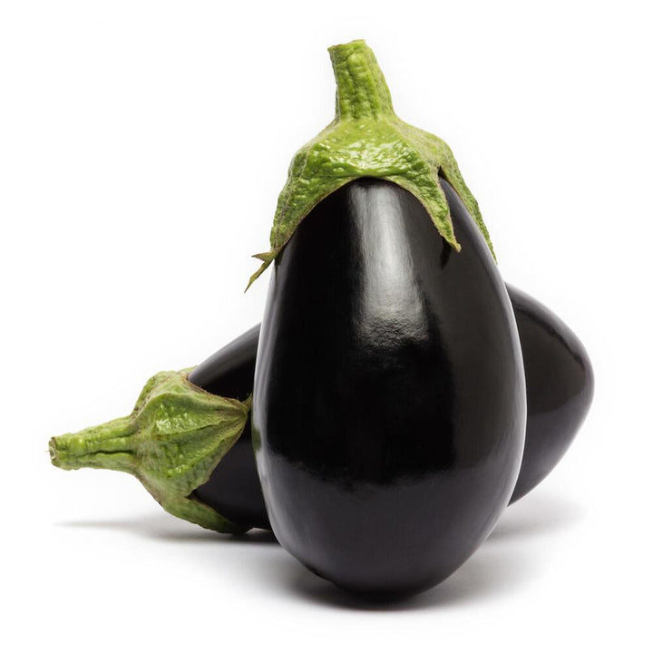 Melanzana Ovale Prof. 12 Piantine