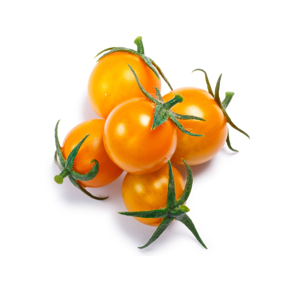pomodoro-giallo-paesano-ponderosa-20-piantine