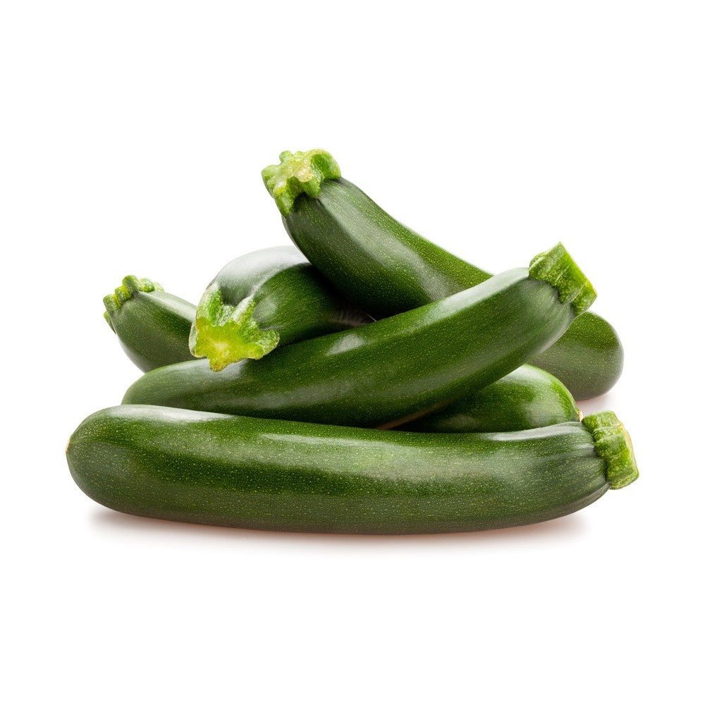 zucchino-scuro-12-piantine