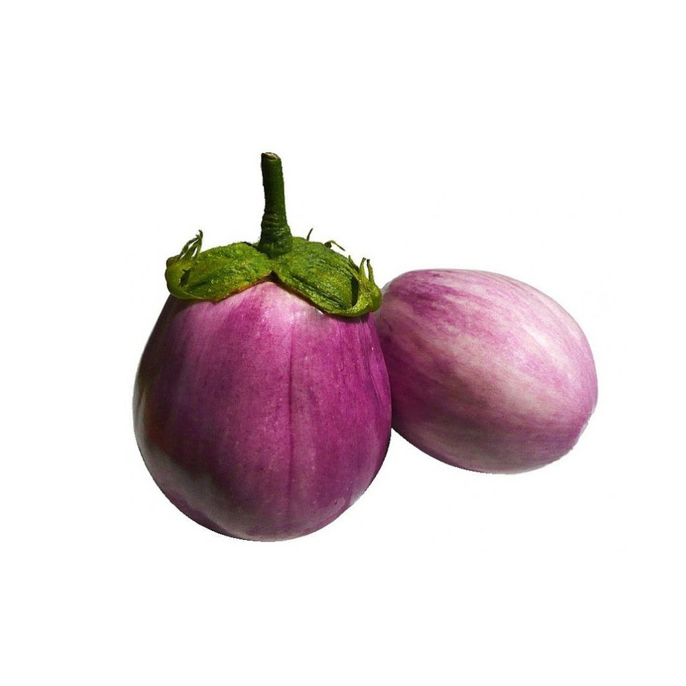 melanzana-violetta-12-pianti-ne