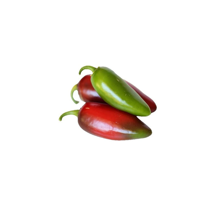 Peperoncino Jalapeno 6 Piantine